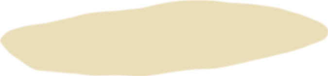 Shadow